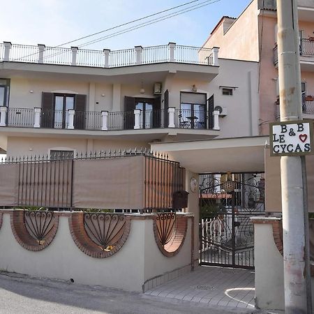 B&B Le Cycas 카스텔라마레디스타비아 외부 사진