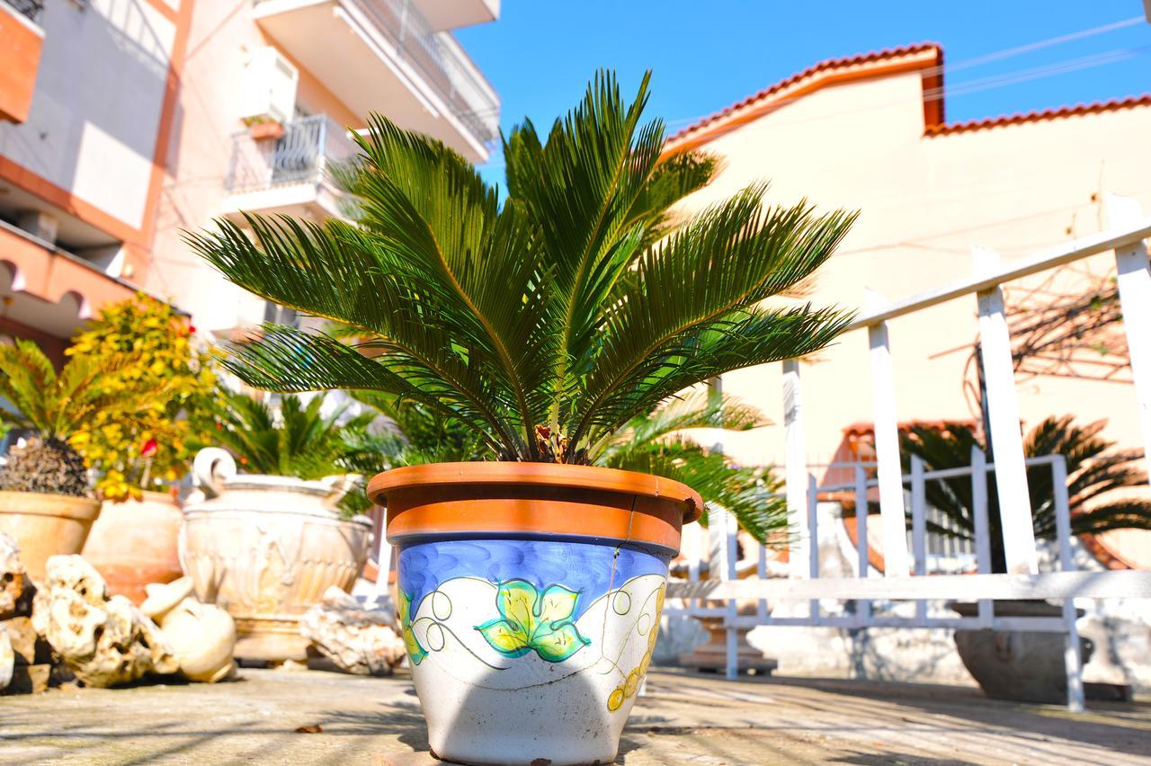 B&B Le Cycas 카스텔라마레디스타비아 외부 사진