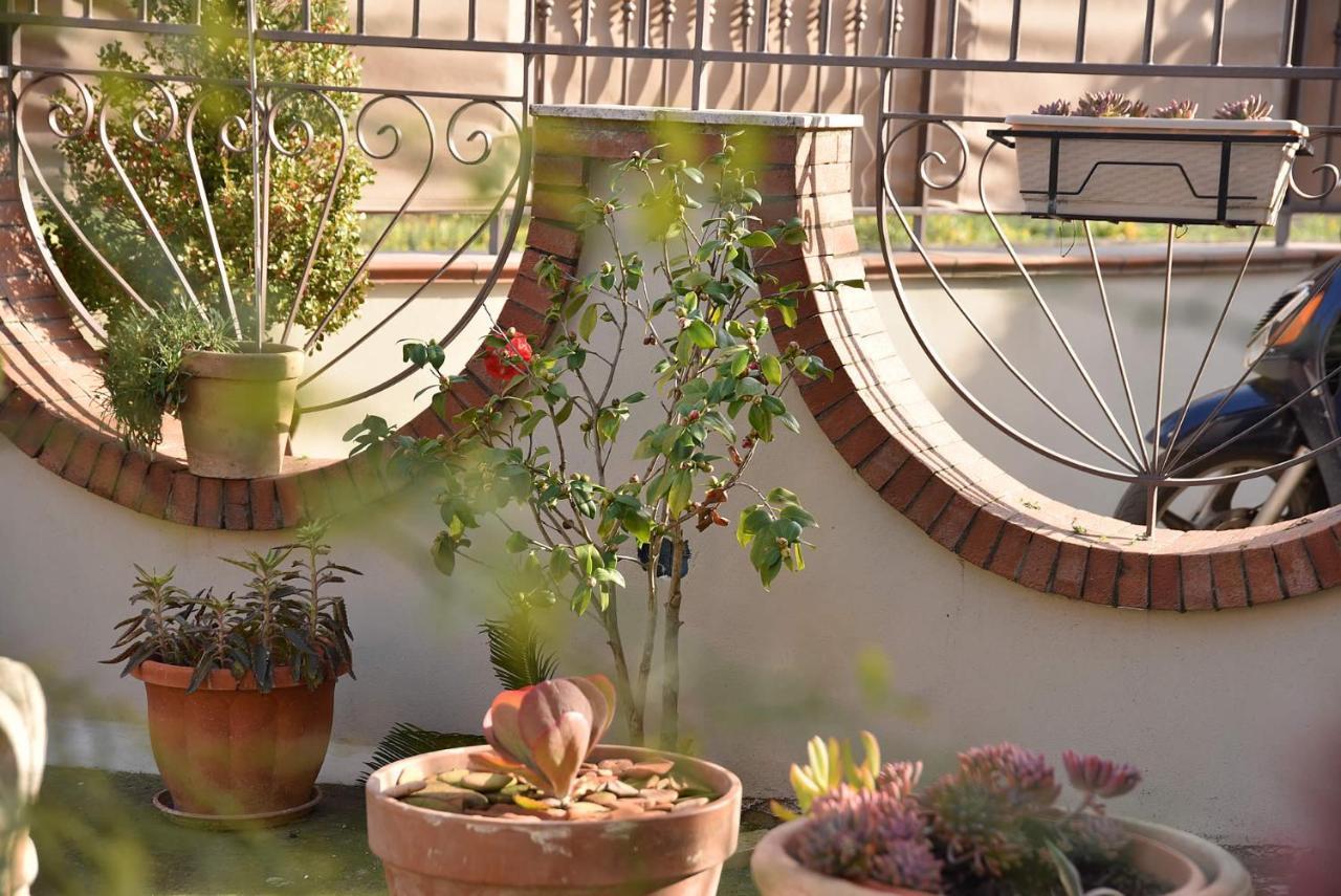 B&B Le Cycas 카스텔라마레디스타비아 외부 사진