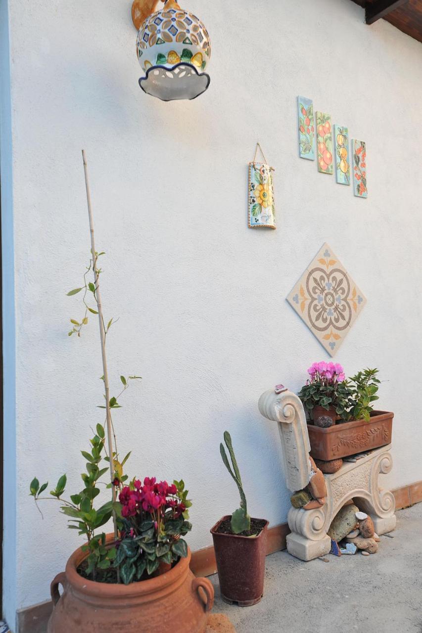 B&B Le Cycas 카스텔라마레디스타비아 외부 사진